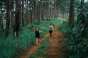 BIB: 
                            <button type="button" onclick="openModal(25655389)" class="btn btn-primary btn-sm float-right btn-popup" data-toggle="modal" data-target=".modal-high-quality">
                        <i class="fas fa-shopping-cart"></i> Add to Cart
                    </button>
                                            <button type="button" onclick="isThisMe(25655389, true)" class="btn btn-success btn-sm float-right btn-popup btn-isme hidden" data-toggle="tooltip" data-placement="bottom" title="นี่คือรูปของคุณใช่ไหม คลิกที่นี่เพื่อเอาเข้าอัลบั้ม">
                        <i class="fas fa-plus"></i> Add to album
                    </button>
                    <button type="button" onclick="isThisMe(25655389, false)" class="btn btn-warning btn-sm float-right btn-popup btn-isnotme hidden">
                        <i class="fas fa-ban"></i> Remove from album
                    </button>